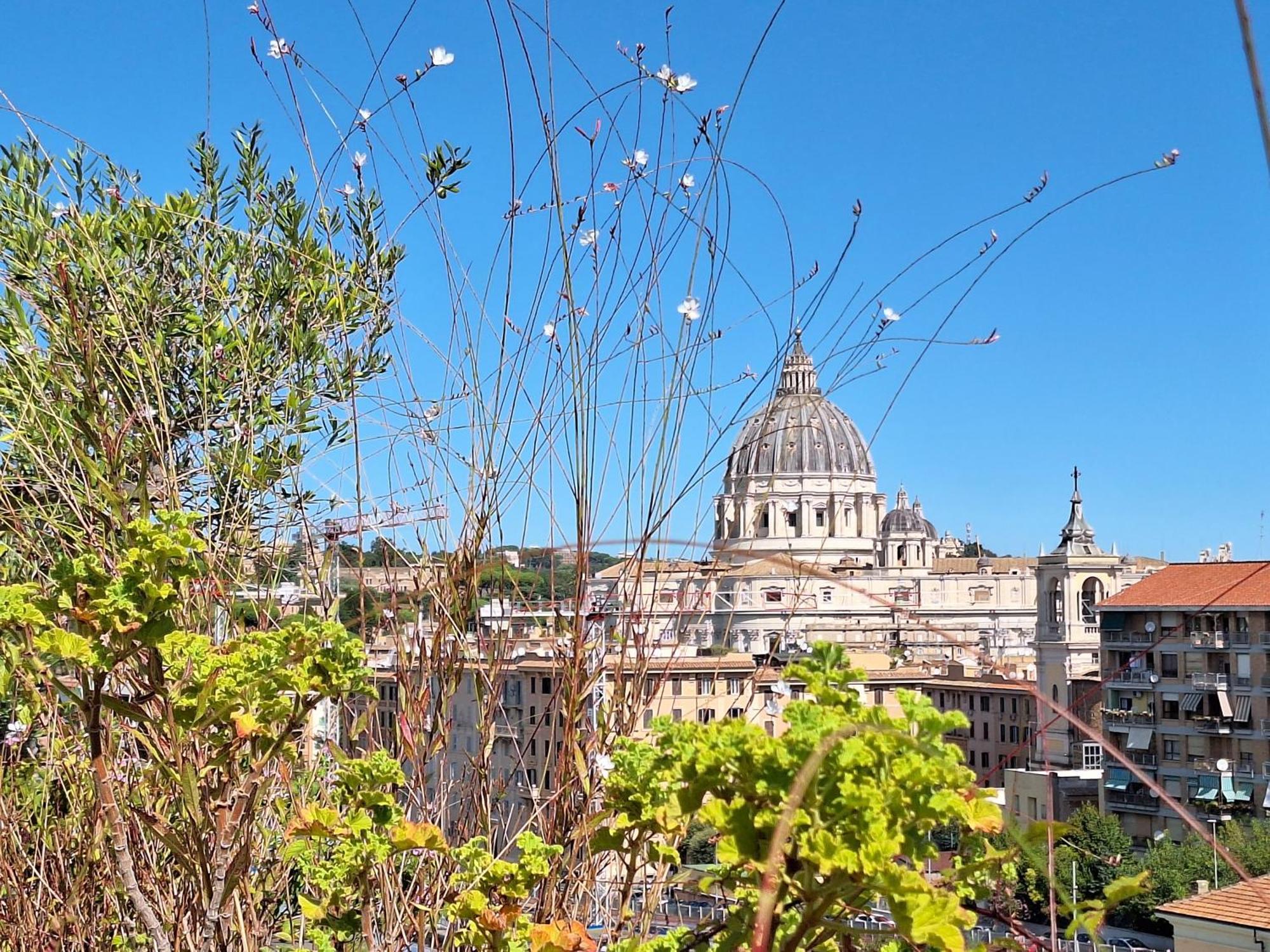 Delmirani'S Book Apartments - Vatican View Rome Extérieur photo